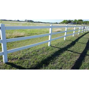 3_1_additional image.jpg image